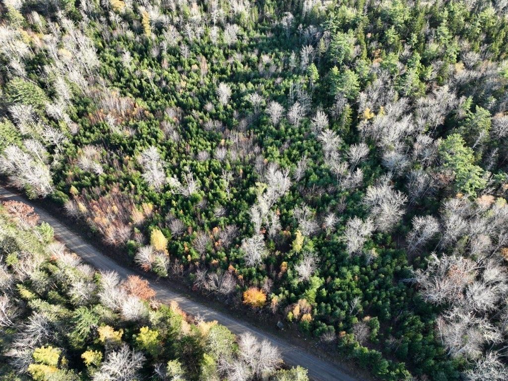 Main Photo: Lots Victory Road in Victory: Annapolis County Vacant Land for sale (Annapolis Valley)  : MLS®# 202225167