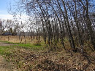 Photo 3: 5320 52 Street: Mirror Residential Land for sale : MLS®# A2130848