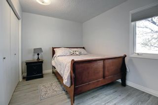 Photo 37: 2824 Dovely Park SE in Calgary: Dover Semi Detached (Half Duplex) for sale : MLS®# A2004327