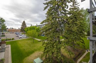 Photo 21: 308 816 89 Avenue SW in Calgary: Haysboro Apartment for sale : MLS®# A1228379
