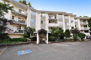 Photo 1: 306 2535 HILL-TOUT Street in Abbotsford: Abbotsford West Condo for sale : MLS®# R2092120