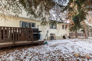 Photo 29: 19 Templeridge Place NE in Calgary: Temple Detached for sale : MLS®# A2014129