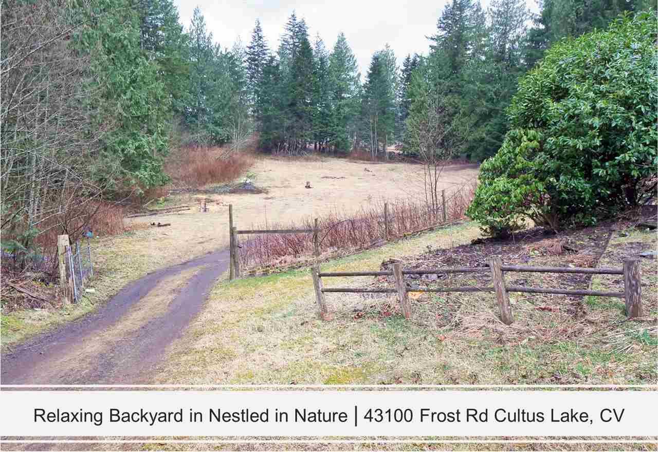 Photo 11: Photos: 43100 FROST Road: Columbia Valley House for sale (Cultus Lake)  : MLS®# R2559391