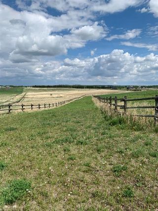 Photo 13: 62 ac Corner of Hwy 552 306 Ave West (Strathcona  School/Polo Club): Rural Foothills County Residential Land for sale : MLS®# A1227910