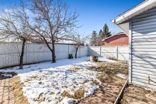Photo 23: 307 Whiteview Road NE in Calgary: Whitehorn Detached for sale : MLS®# A1184956