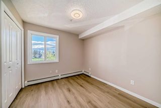 Photo 22: 209 1717 60 Street SE in Calgary: Red Carpet Apartment for sale : MLS®# A2133379