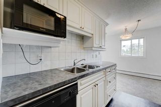 Photo 10: 48 366 94 Avenue SE in Calgary: Acadia Apartment for sale : MLS®# A2080194