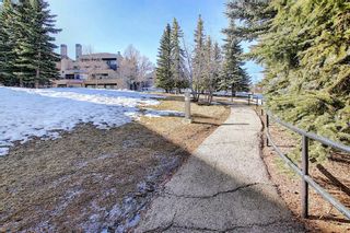 Photo 32: 6 210 Village Terrace SW in Calgary: Patterson Apartment for sale : MLS®# A1220712