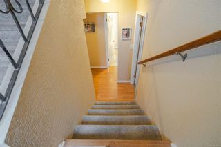 Photo 23: 589 Kay St in Saanich: SW Glanford House for sale (Saanich West)  : MLS®# 960874
