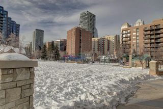 Photo 29: 203 215 14 Avenue SW in Calgary: Beltline Apartment for sale : MLS®# A1092010