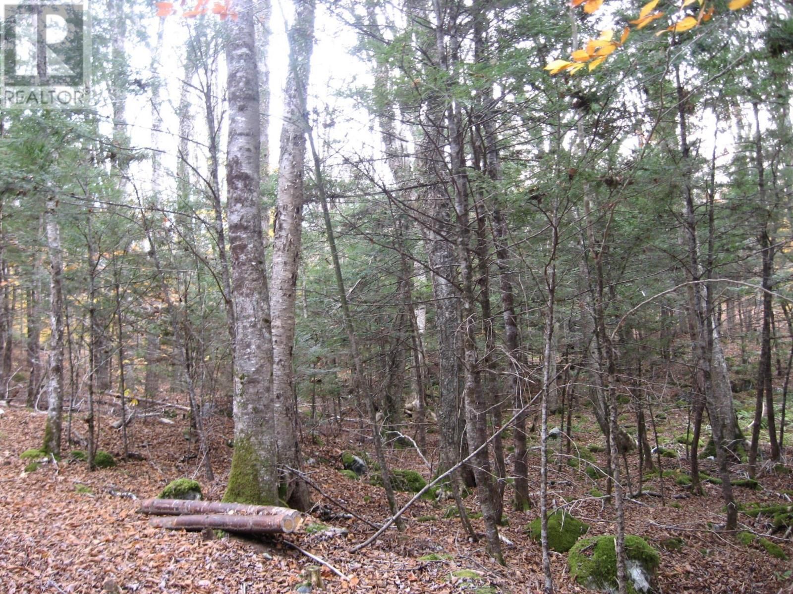 Main Photo: Lot 6 Hemlock Crescent in Labelle: Vacant Land for sale : MLS®# 202324432