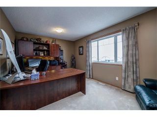 Photo 36: 137 COVE Court: Chestermere House for sale : MLS®# C4090938