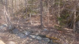 Photo 4: Lot Highway 7 in Sherbrooke: 303-Guysborough County Vacant Land for sale (Highland Region)  : MLS®# 202324899