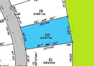 Photo 3: 79 57126 RGE RD 233: Rural Sturgeon County Rural Land/Vacant Lot for sale : MLS®# E4274202