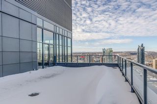 Photo 31: 3101 1010 6 Street SW in Calgary: Beltline Apartment for sale : MLS®# A2010545