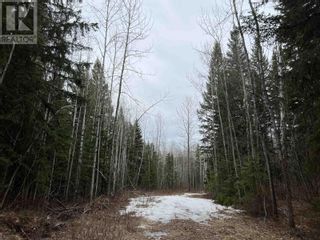 Photo 4: 601 MARSH ROAD in Quesnel: Vacant Land for sale : MLS®# R2758913