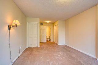 Photo 31: 201 2425 90 Avenue SW in Calgary: Palliser Apartment for sale : MLS®# A1052664