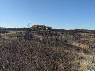 Photo 11: Beaver Creek Area Land in Dundurn: Lot/Land for sale (Dundurn Rm No. 314)  : MLS®# SK900848