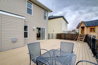 Photo 39: 42 Martha's Place NE in Calgary: Martindale Detached for sale : MLS®# A1203150