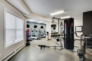 Photo 25: 210 402 Marquis Lane SE in Calgary: Mahogany Apartment for sale : MLS®# A2012261