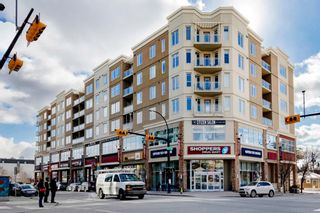 Photo 7: 509 3410 20 Street SW in Calgary: South Calgary Apartment for sale : MLS®# A1193852