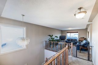 Photo 15: 22 Royal Birch Way NW in Calgary: Royal Oak Detached for sale : MLS®# A2013837