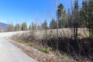 Photo 8: Lot 11 Ivy Road: Eagle Bay Vacant Land for sale (South Shuswap)  : MLS®# 10229941
