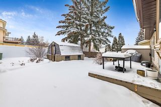 Photo 36: 151 Sandarac Place NW in Calgary: Sandstone Valley Detached for sale : MLS®# A2019987