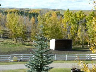 Photo 5: 43141 TWP RD 283 in COCHRANE: Rural Rocky View MD Residential Detached Single Family for sale : MLS®# C3506968