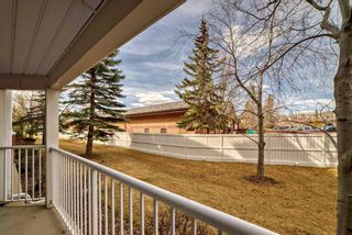 Photo 17: 2108 2000 Hawksbrow Point NW in Calgary: Hawkwood Apartment for sale : MLS®# A2125853