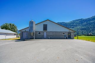 Photo 23: 1160 MARION Road in Abbotsford: Sumas Prairie Agri-Business for sale : MLS®# C8045490