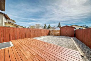 Photo 31: 35 Templemont Drive NE in Calgary: Temple Semi Detached (Half Duplex) for sale : MLS®# A2130143
