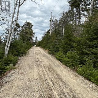 Photo 11: Lot 8 Fire Cove Road in Feltzen South: Vacant Land for sale : MLS®# 202306991