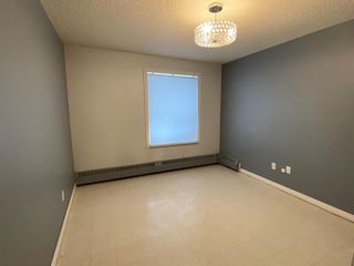 Photo 14: 104 4405 48 Avenue: Red Deer Apartment for sale : MLS®# A2015295