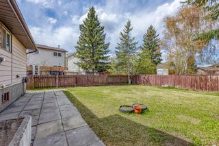 Photo 28: 379 Whitlock Way NE in Calgary: Whitehorn Detached for sale : MLS®# A1217820