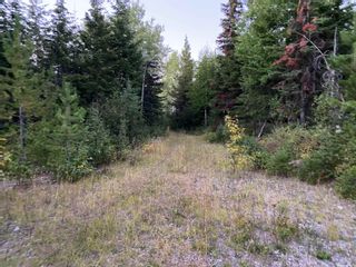 Photo 9: N1/2of DL7871 TAKLA FOREST Road in Prince George: Nechako Ridge Land for sale in "McPhee Road" (PG City North)  : MLS®# R2768067