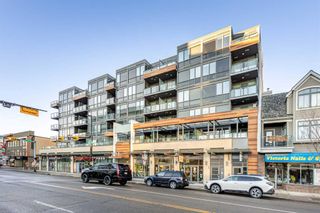 Photo 21: 308 301 10 Street NW in Calgary: Hillhurst Apartment for sale : MLS®# A2105347