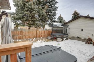 Photo 45: 5 Knowles Avenue: Okotoks Detached for sale : MLS®# A2023299