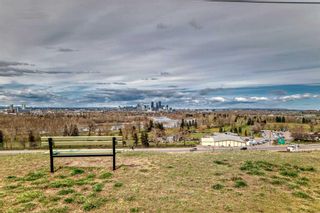 Photo 30: 313 2727 28 Avenue SE in Calgary: Dover Apartment for sale : MLS®# A2125094