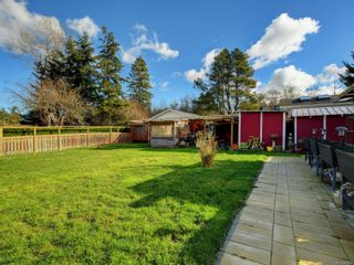 Photo 18: 784 Daisy Ave in Saanich: SW Marigold House for sale (Saanich West)  : MLS®# 866590