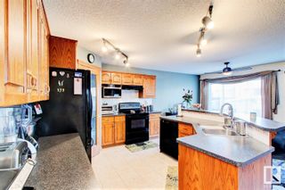 Photo 16: 1731 HASWELL Cove in Edmonton: Zone 14 House for sale : MLS®# E4300366