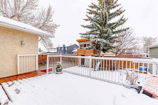 Photo 33: 4720 60 Street NE in Calgary: Temple Detached for sale : MLS®# A2123494