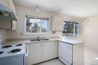 Photo 14: 4208 Morris Dr in Saanich: SE Lake Hill House for sale (Saanich East)  : MLS®# 871625