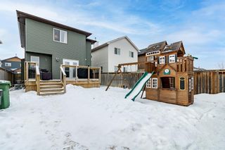 Photo 30: 340 Luxstone Place: Airdrie Detached for sale : MLS®# A1189968