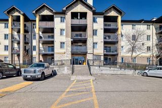Photo 42: 8102 304 Mackenzie Way SW: Airdrie Apartment for sale : MLS®# A2120280