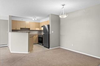 Photo 5: 320 4000 Citadel Meadow Point NW in Calgary: Citadel Apartment for sale : MLS®# A2123539