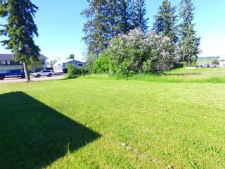 Photo 5: 2024 17 Avenue: Bowden Residential Land for sale : MLS®# A2071344