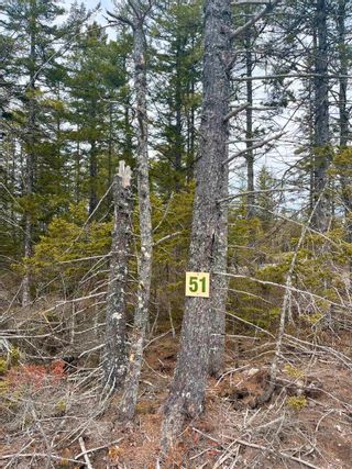 Photo 8: Lot 51 Meek Arm Trail in East Uniacke: 105-East Hants/Colchester West Vacant Land for sale (Halifax-Dartmouth)  : MLS®# 202404877