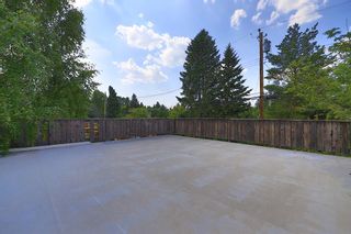 Photo 46: 56 Rosery Drive NW in Calgary: Rosemont Detached for sale : MLS®# A1128549