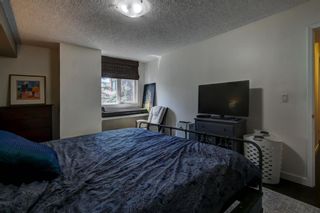 Photo 16: 306 225 25 Avenue SW in Calgary: Mission Apartment for sale : MLS®# A2054705